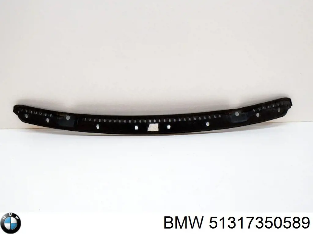 Молдинг лобового скла BMW X1 
