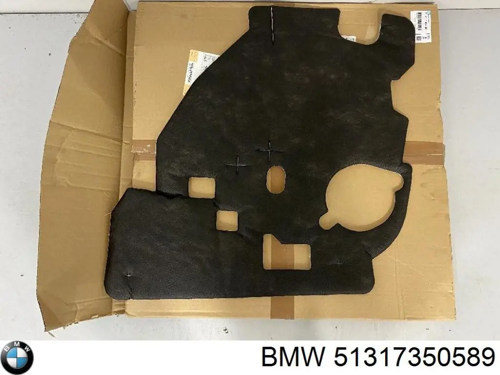  Накладка лобового скла BMW X1 