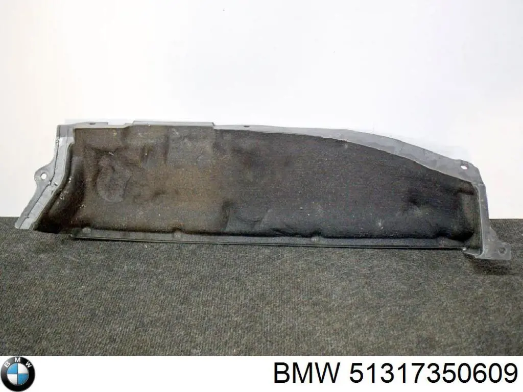 Купити 51317350609 BMW Молдинг вітрового скла лівий