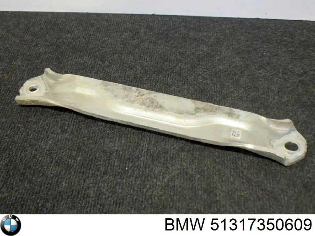 Захисна накладка переднього скла ліва BMW 51317350609 ціна, від 18.65 USD