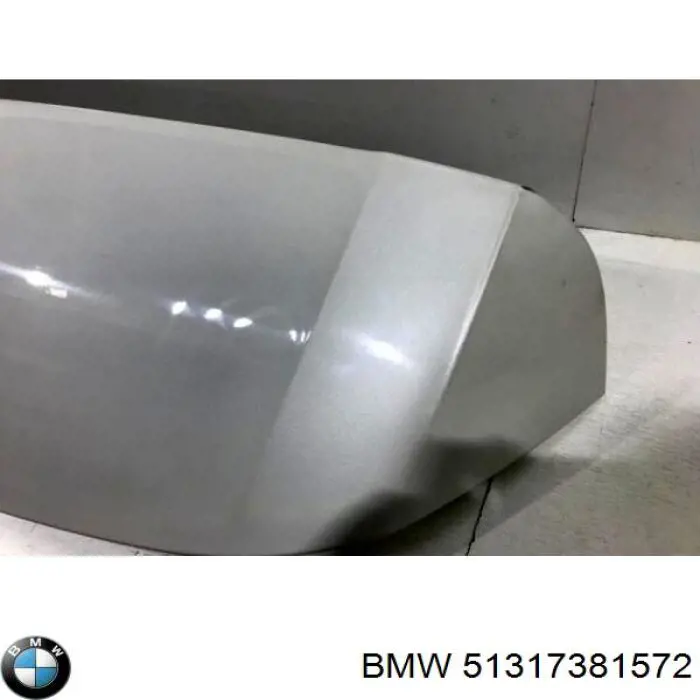 Спойлер на багажник BMW 51317381572 ціна, від 31.60 USD