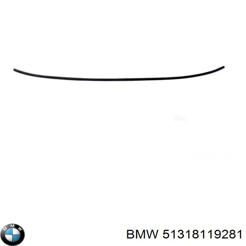 51318119281 BMW Накладка заднього скла