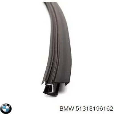 Купити 51318196162 BMW 