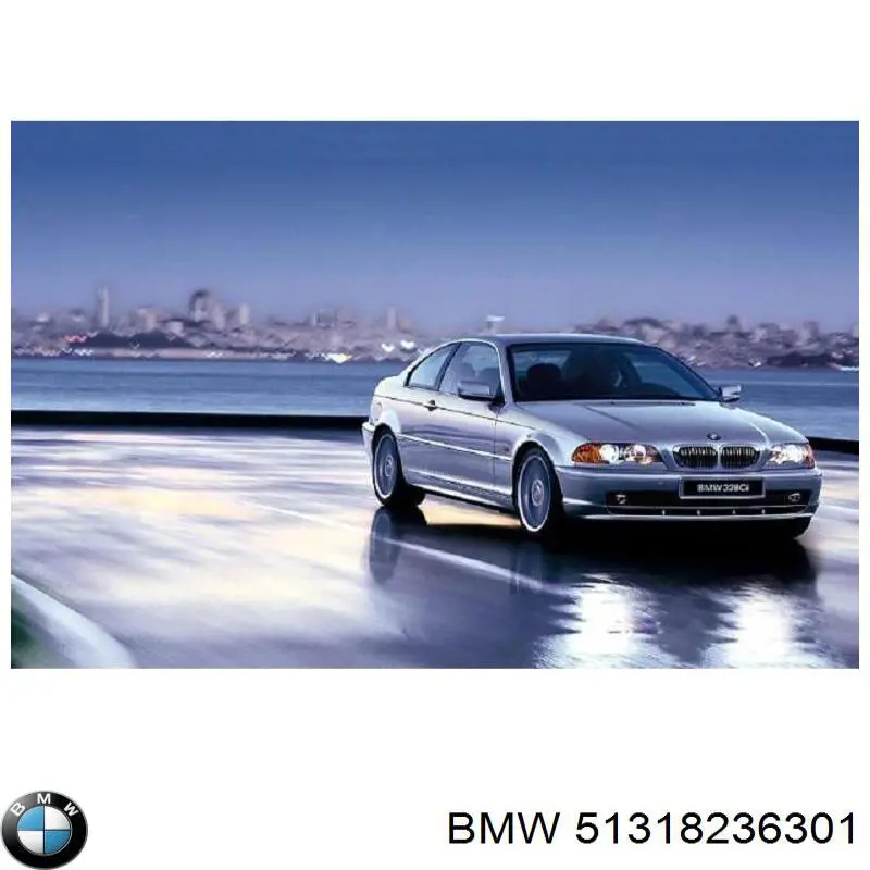 Автоскло BMW 51318236301 ціна, від 146.21 USD