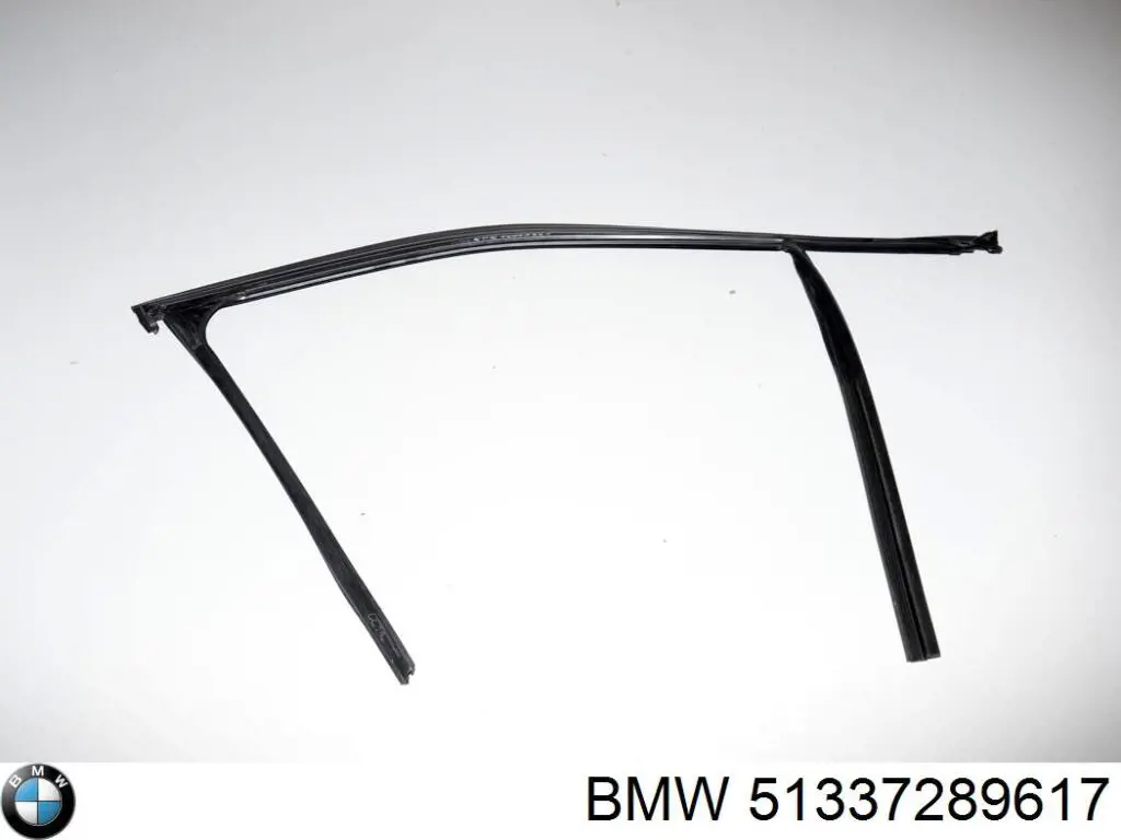 Купити 51337289617 BMW Направляюча скла рамки двері, передньої лівої