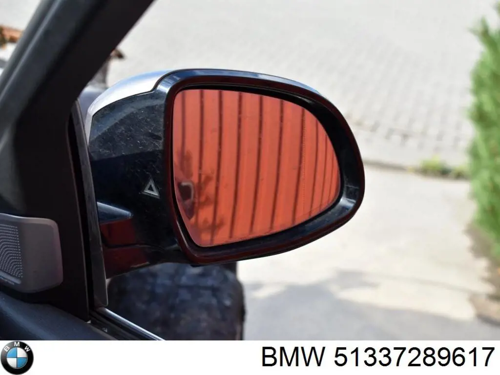 51337289617 BMW Направляюча скла рамки двері, передньої лівої
