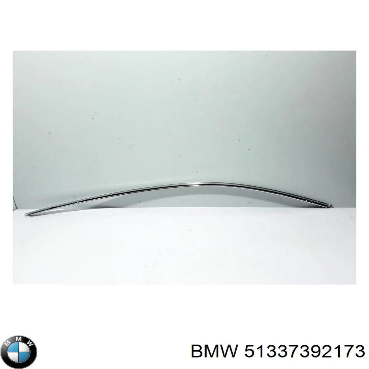  51338049195 BMW