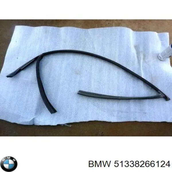 51338266124 BMW 