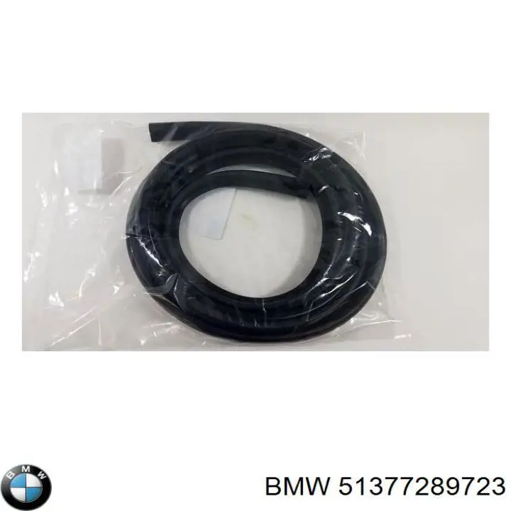 51377289723 BMW 