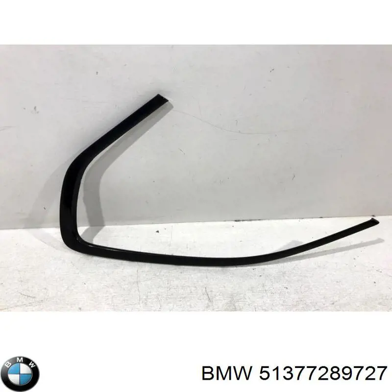  51377465919 BMW