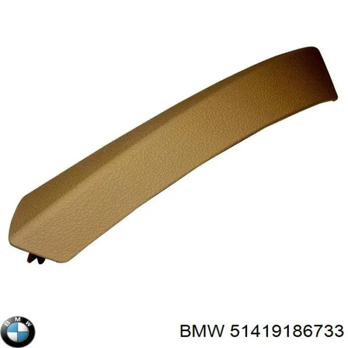 51419186733 BMW 