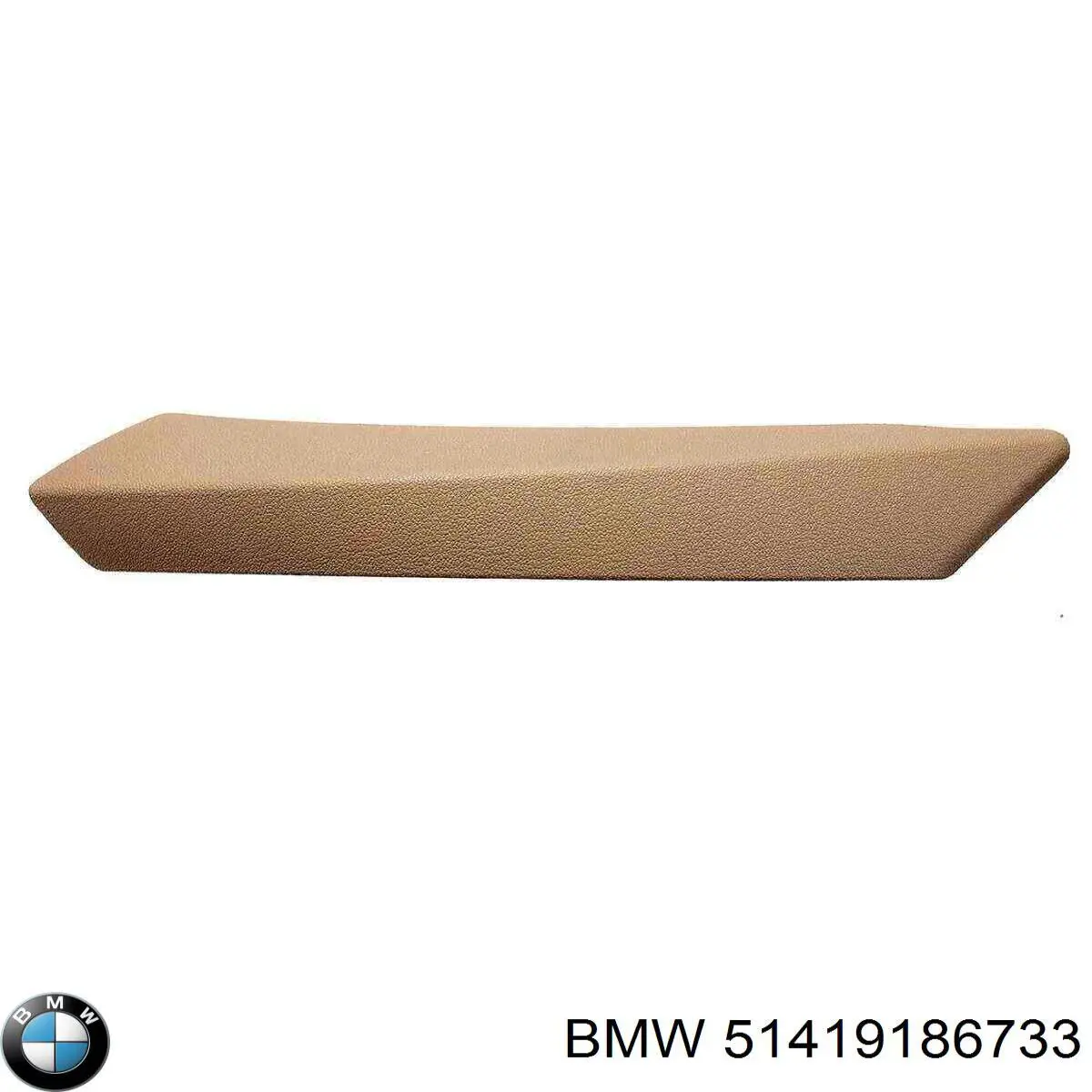 51419186733 BMW 