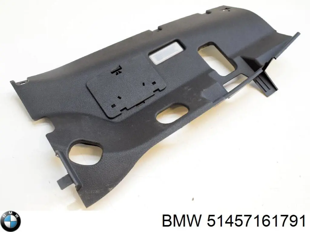 51457161791 BMW 