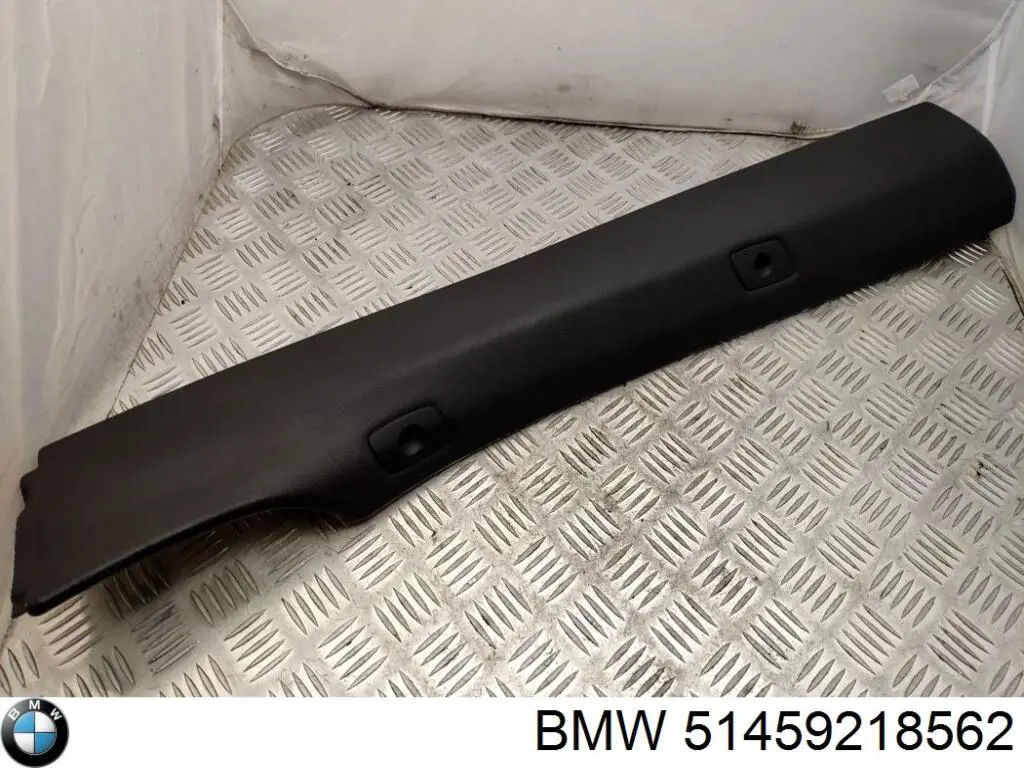 51459218562 BMW 