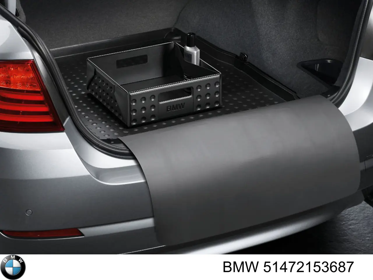 Килимки підлоги (багажника) на BMW 5 (F10)