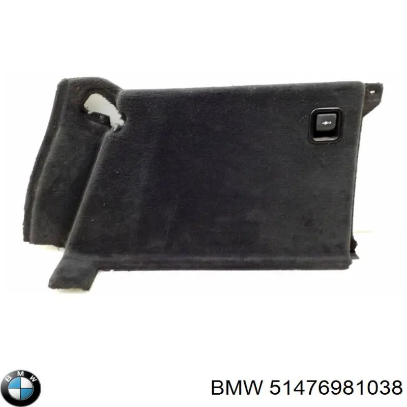 51476981038 BMW 