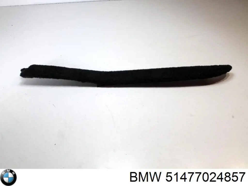 51477024857 BMW 