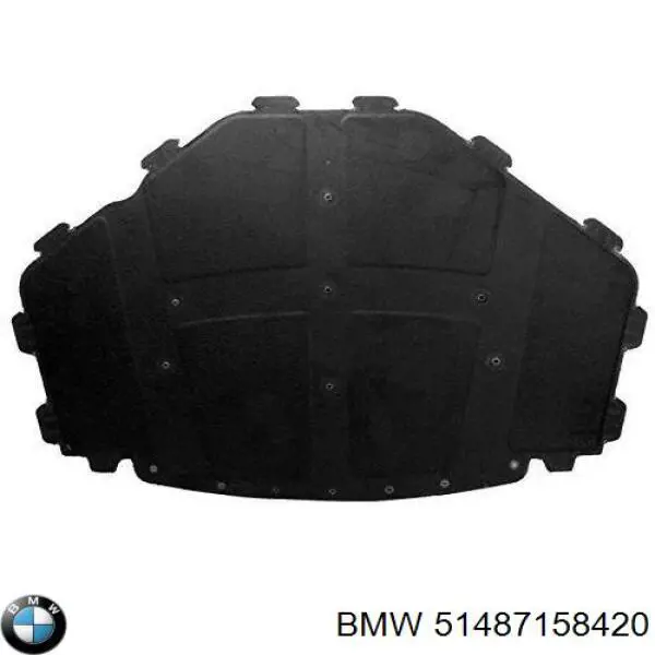 Обшивка капота на BMW X6 (E71)