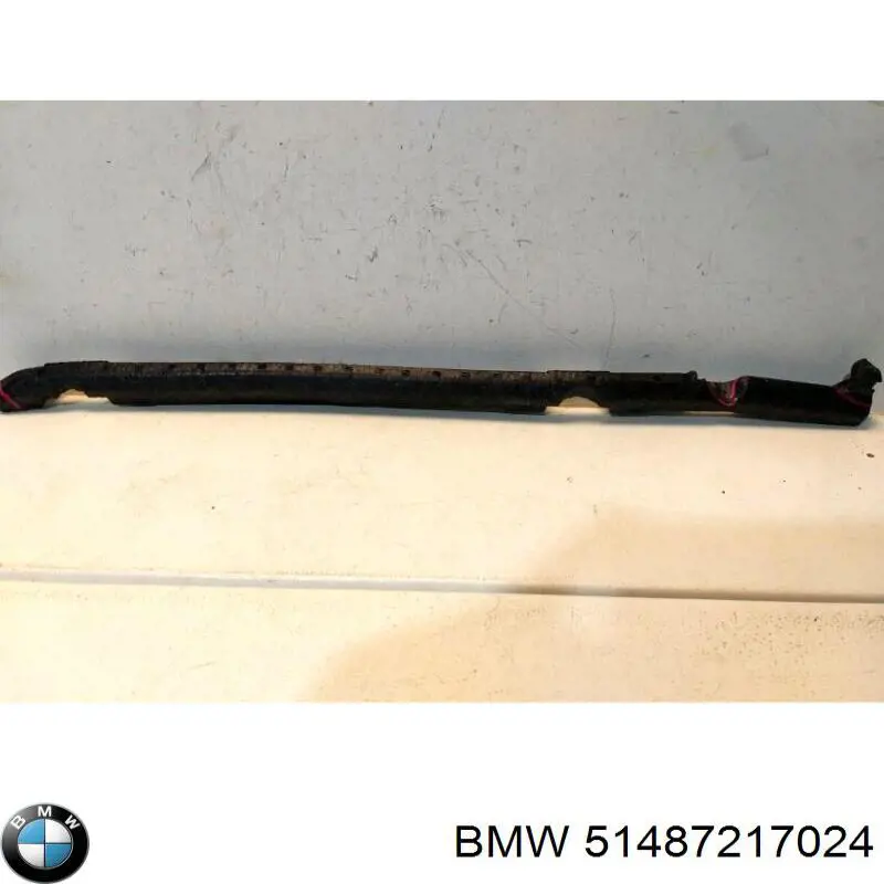 51487217024 BMW 