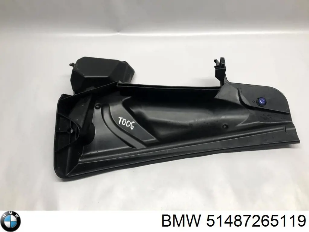 51487265119 BMW 