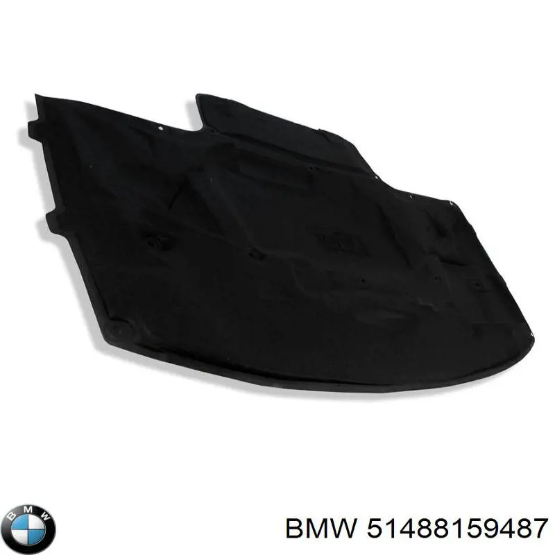 51488159487 BMW 