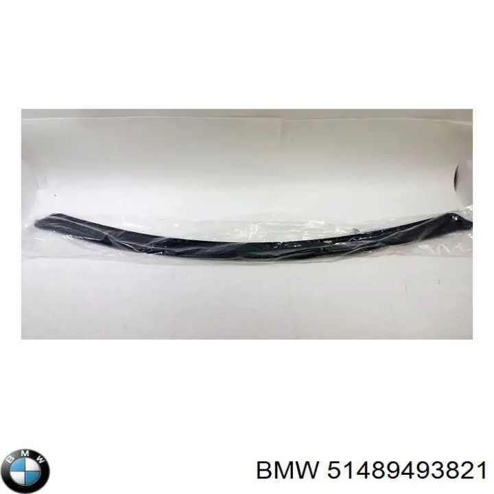 51489493821 BMW Шумоізоляція моторного щита