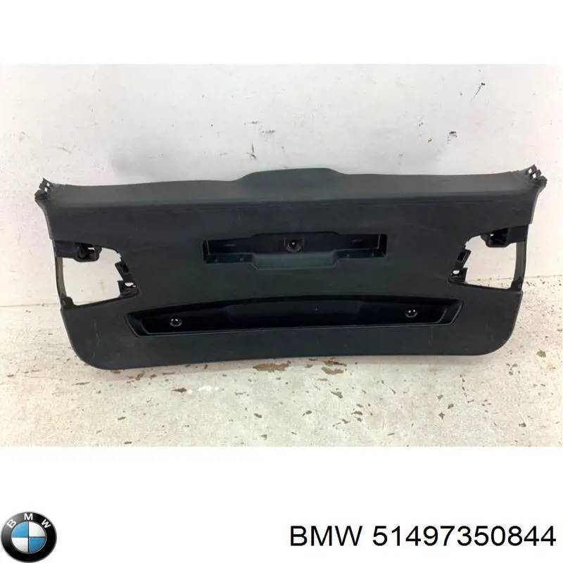 51497350844 BMW 