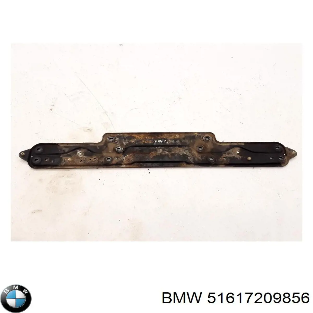 51617209856 BMW 