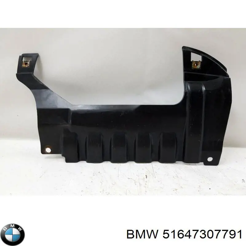 51647307791 BMW 