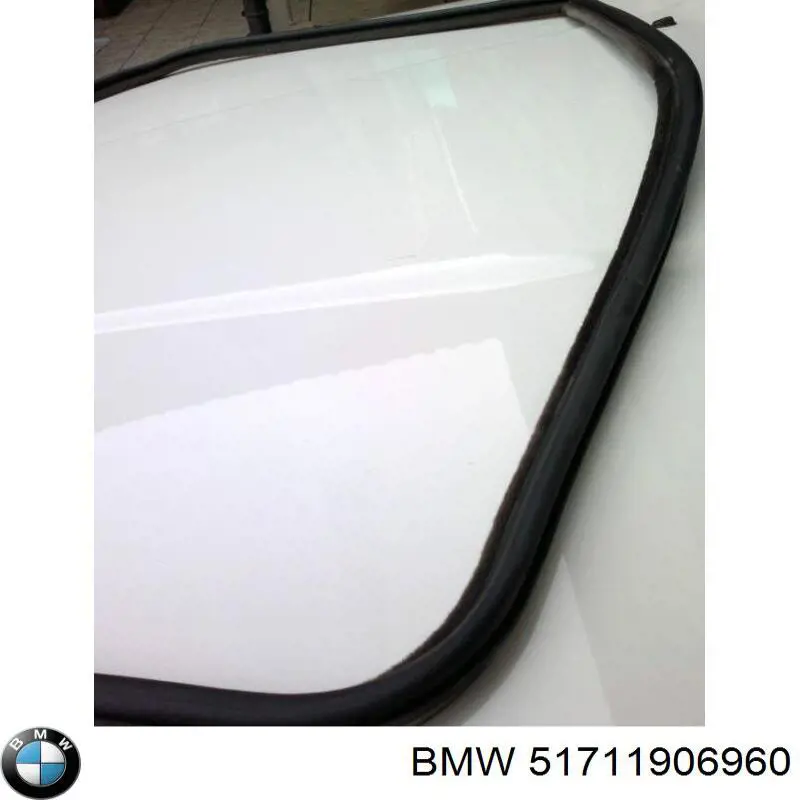 51711906960 BMW 