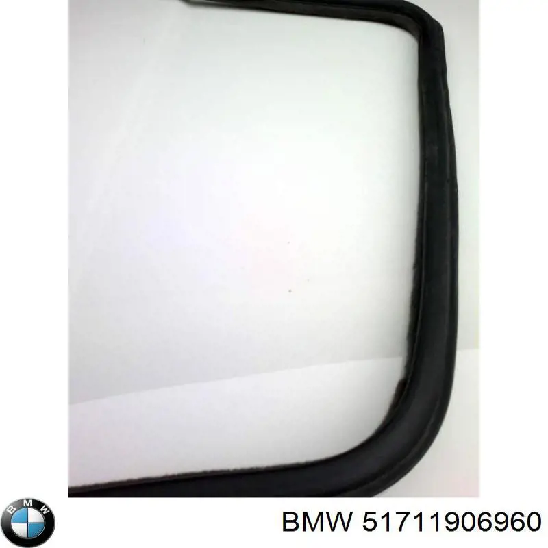 Купити 51711906960 BMW 