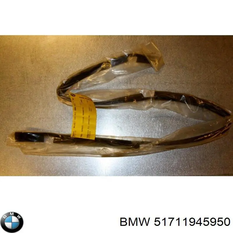 Купити 51711945950 BMW 