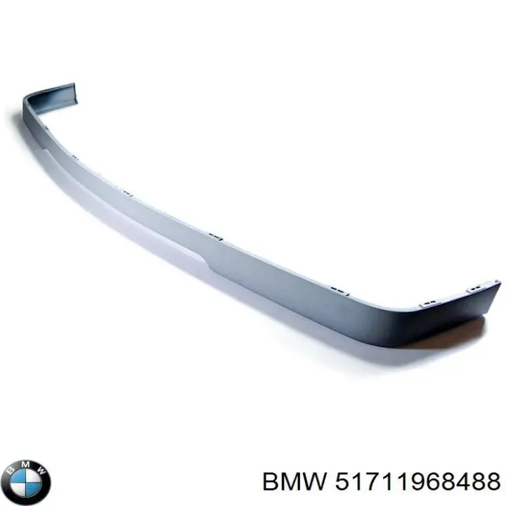 51711968488 BMW 