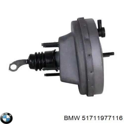 51711977116 BMW 