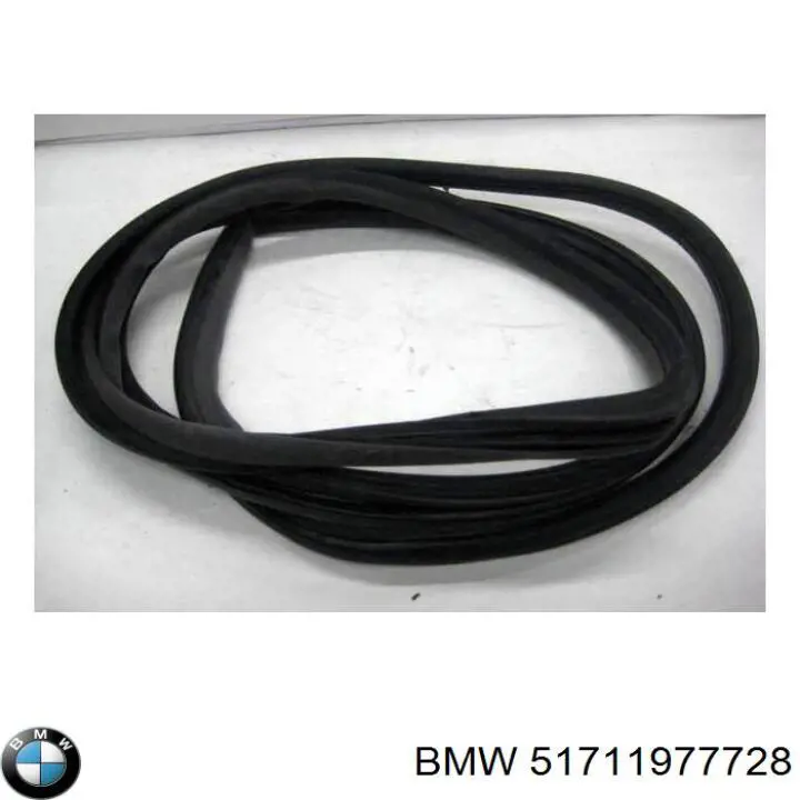 Купити 51711977728 BMW 