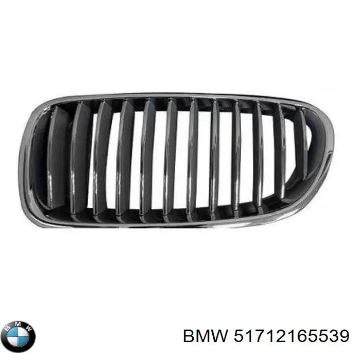 Купити 51712165539 BMW Решітка радіатора ліва