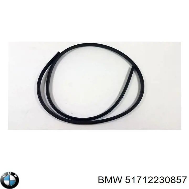 51712230857 BMW 