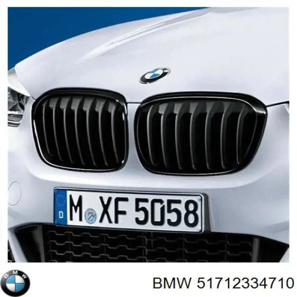Решітка радіатора права BMW 51712334710 ціна, від 44.33 USD