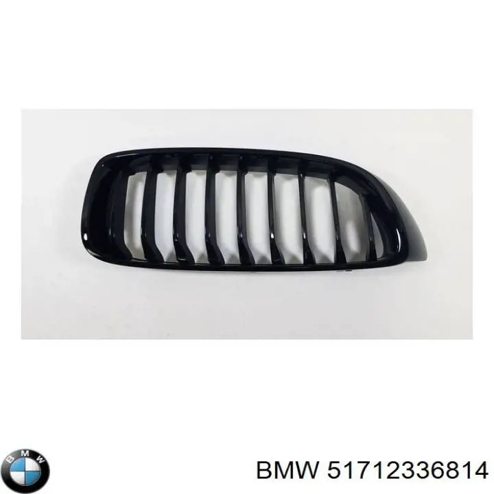 Купити 51712336814 BMW Решітка радіатора права