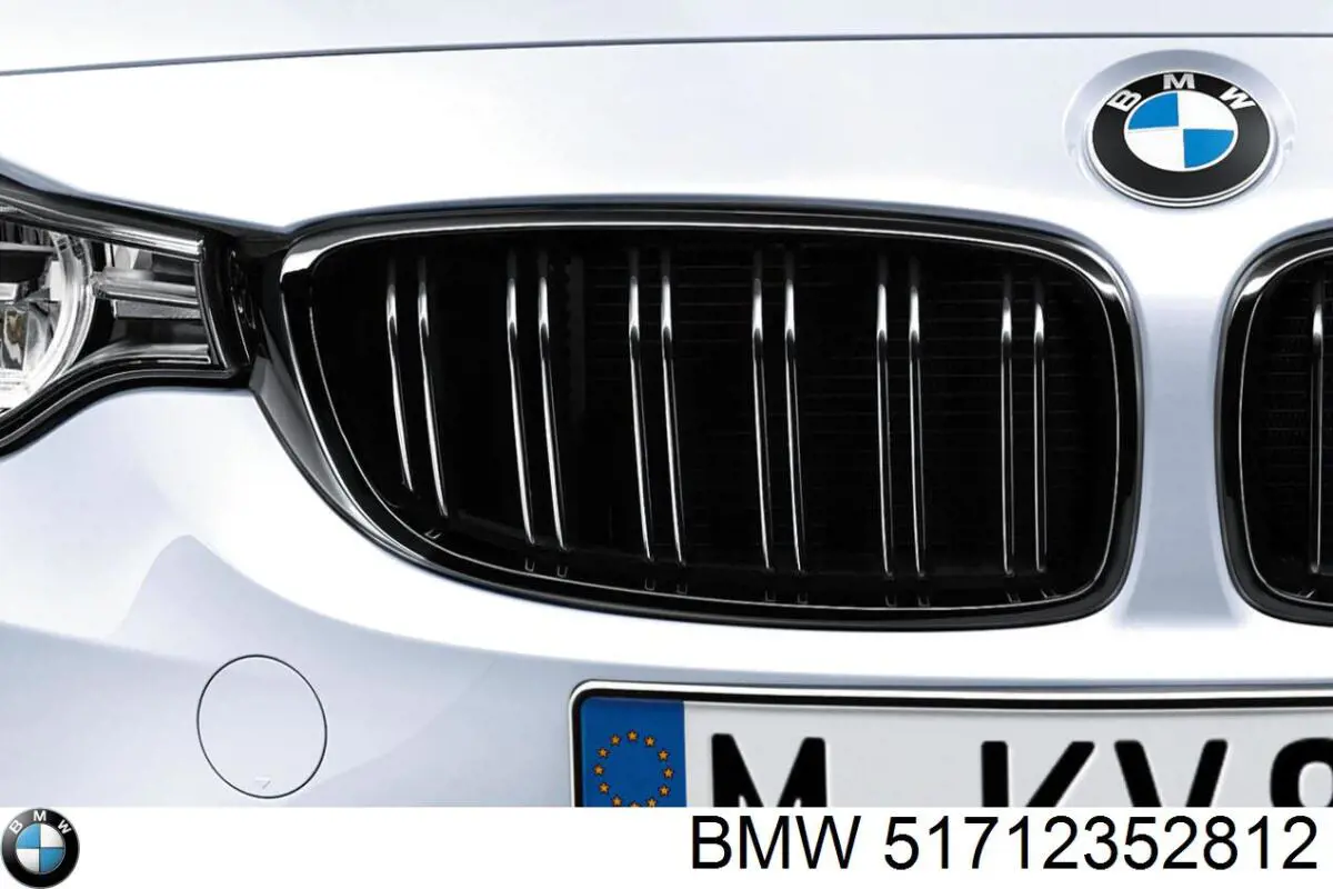 Решітка радіатора права BMW 51712352812 ціна, від 220.98 USD