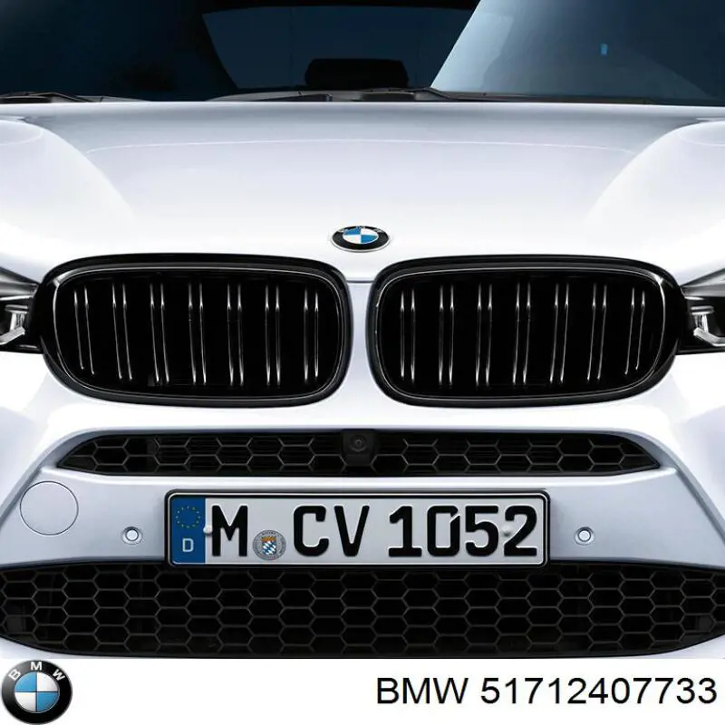 Купити 51712407733 BMW Решітка радіатора права