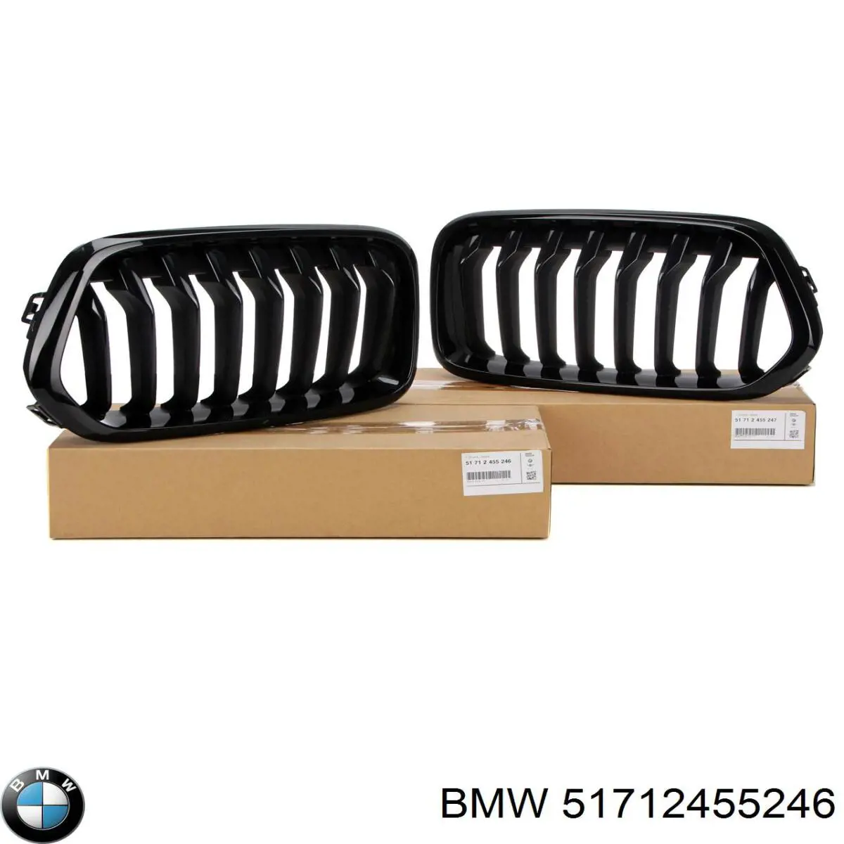Купити 51712455246 BMW Захисна решітка радіатора
