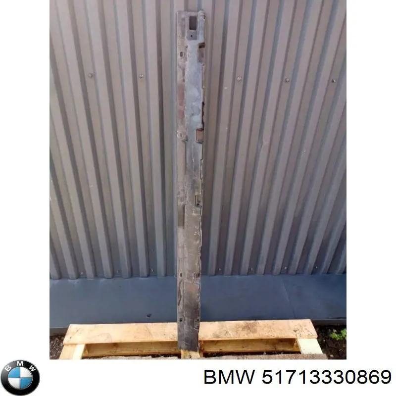 51713330869 BMW 