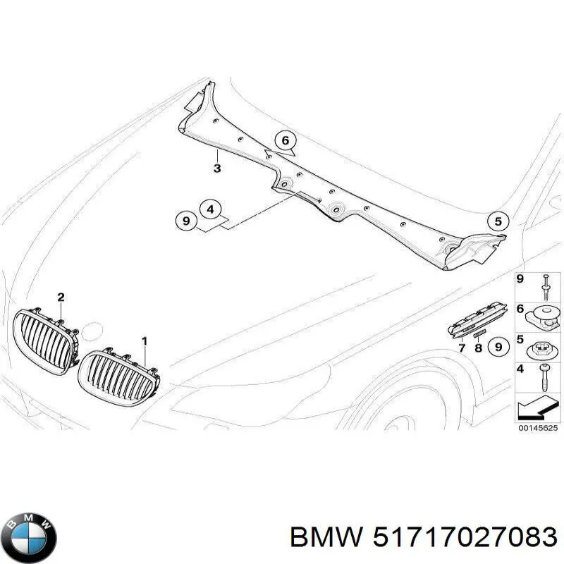 Жабо на BMW 5 (E61)