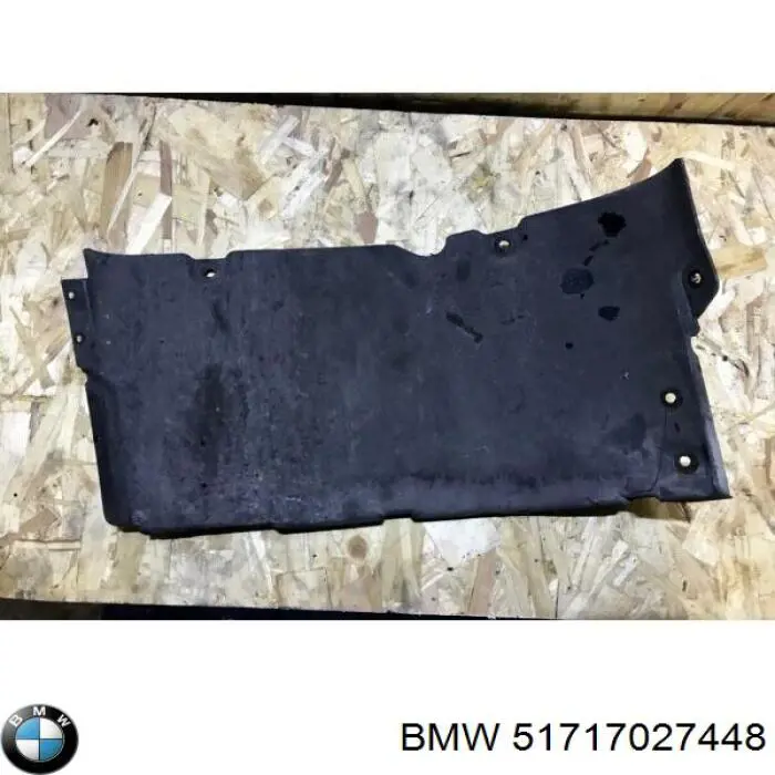51717027448 BMW 