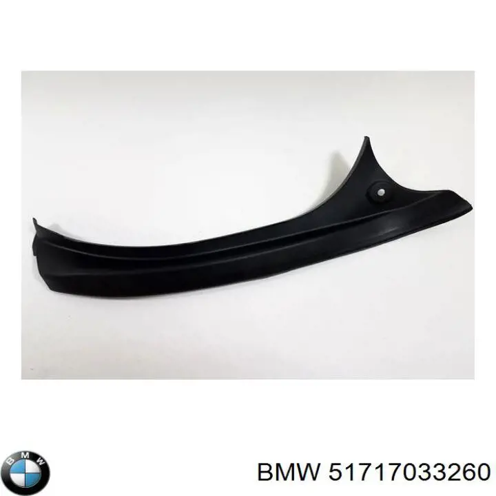 Купити 51717033260 BMW 