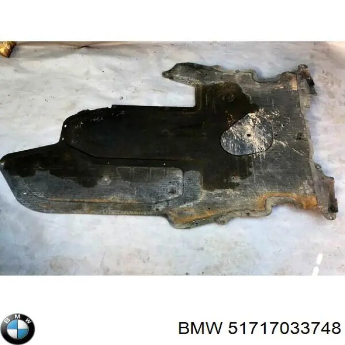 Кожух підлоги (кришки люків підлоги) на BMW 5 (E61)