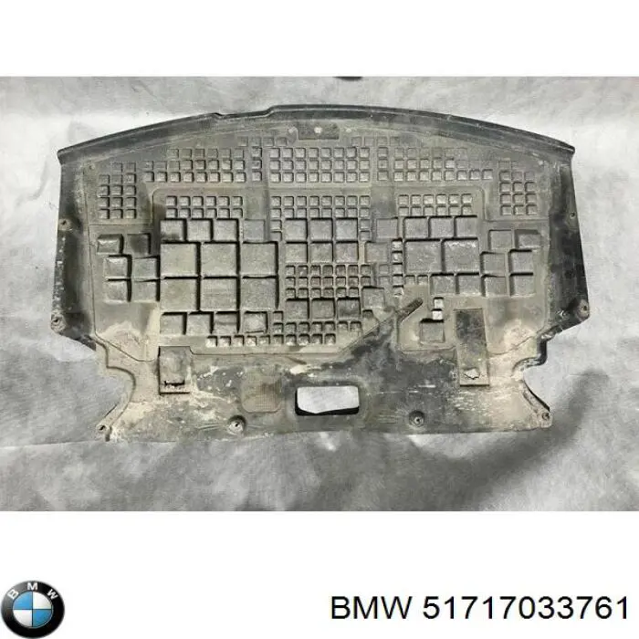 Захист двигуна 021316938210 Magneti Marelli