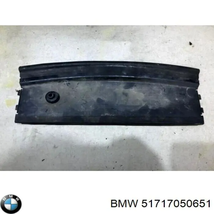  51717050651 BMW