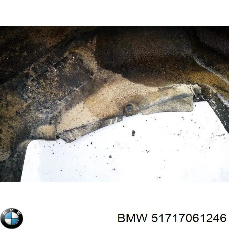 Купити 51717061246 BMW Підкрилок заднього крила, правий